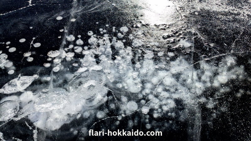 冬の糠平湖の湖上でアイスバブルの絶景を楽しむ