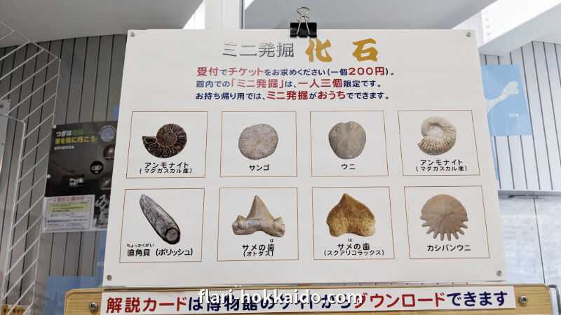 足寄動物化石博物館「フォストリーあしょろ」のミニ発掘体験の化石を解明する