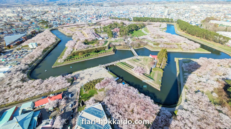 函館市 五稜郭公園がおすすめの観光スポット