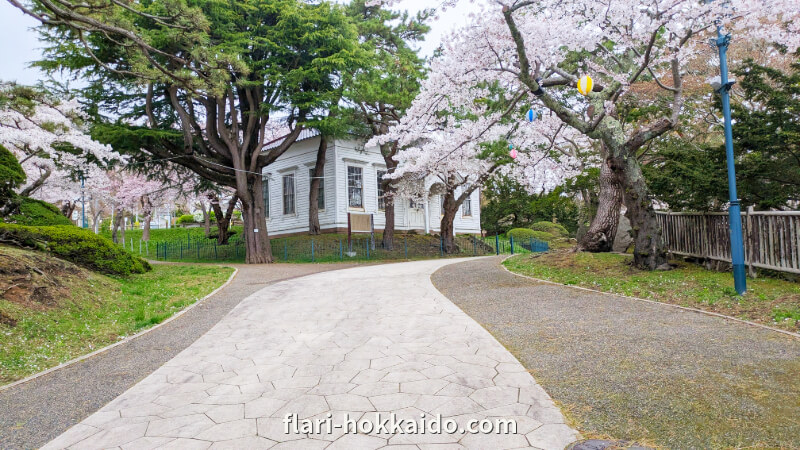 函館市 函館公園がおすすめの観光スポット