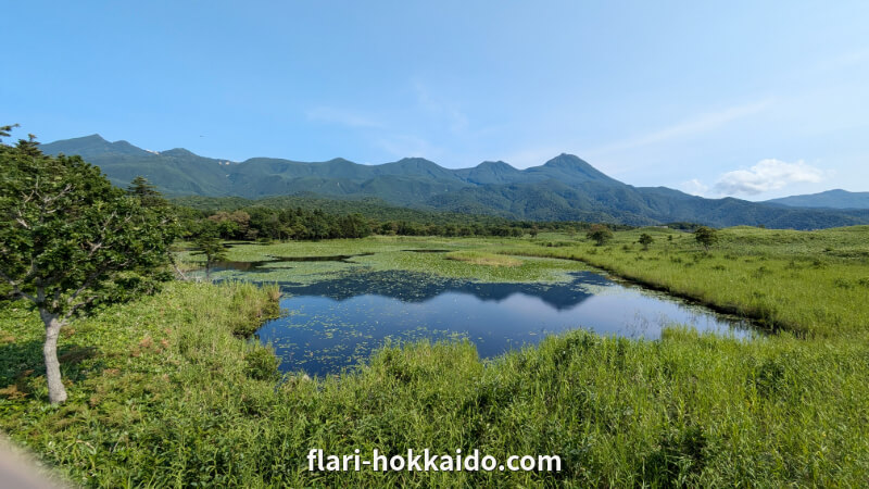 知床五湖｜高架木道をのんびり散策するのがおすすめ